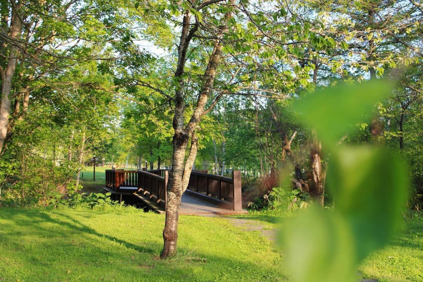 Log Hotel The Maple Lodge Iwamizawa Exterior photo