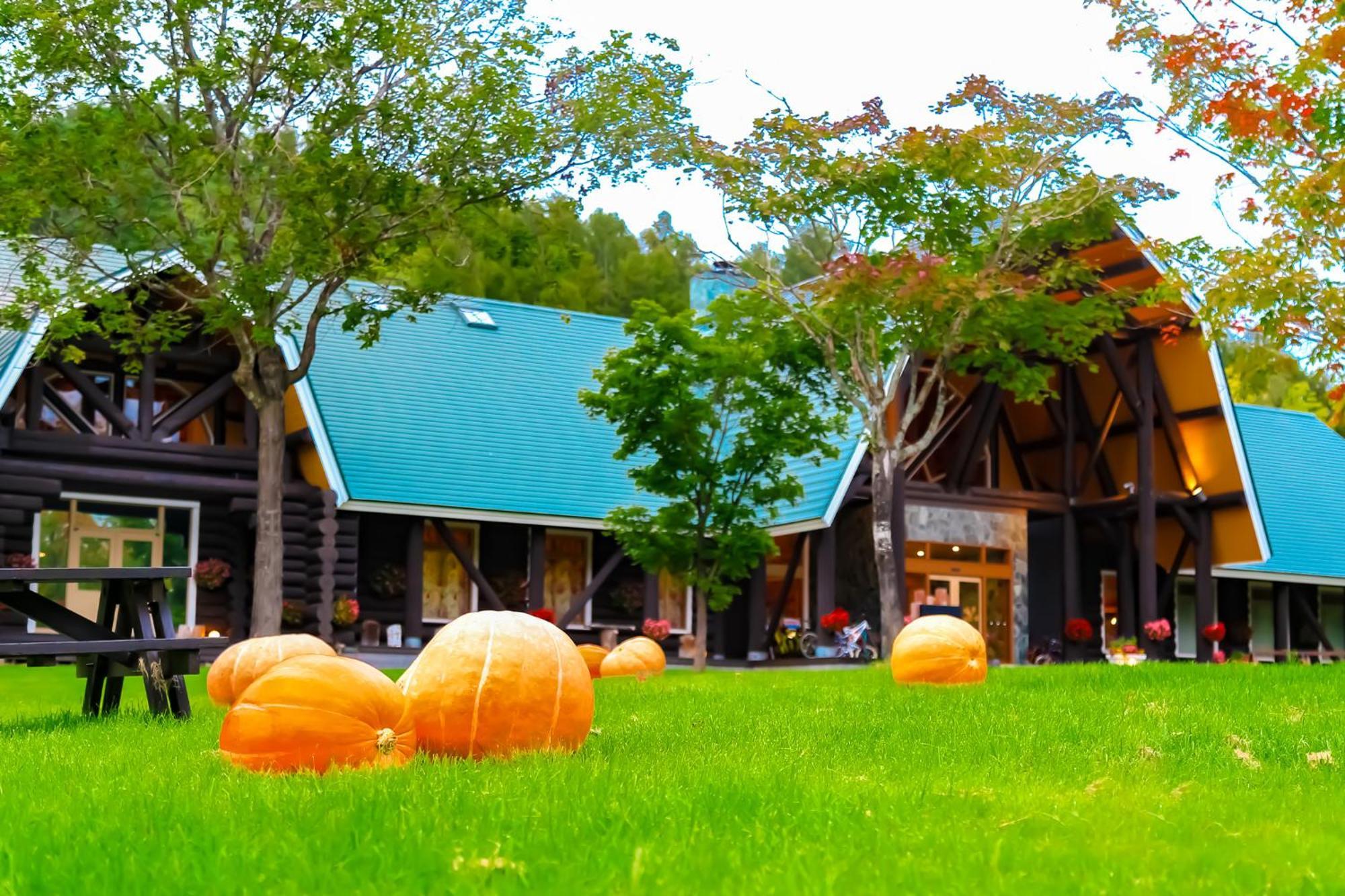 Log Hotel The Maple Lodge Iwamizawa Exterior photo